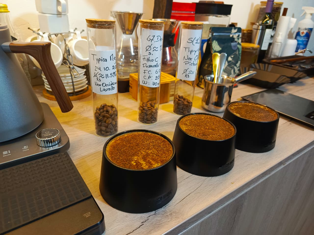 Mesa de catación con tazas y muestras de café
